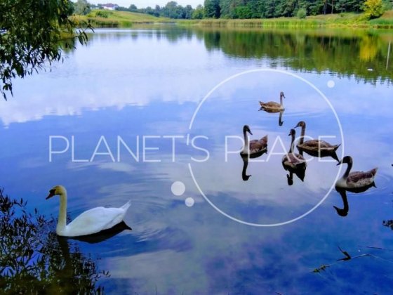 Продаж будинку, с. Ясногородка, вул. Богушівська,88-А, БЕЗ КОМІСІЇ Ясногородка