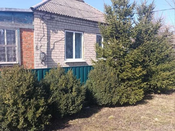 Продам будинок вул. Київської Русі (район Волохіно) Долинская