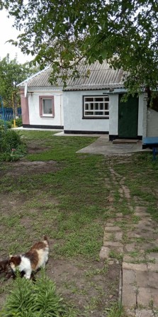 Продам недорого будинок з надвірними будівлями 9500$. Торг - фото 1