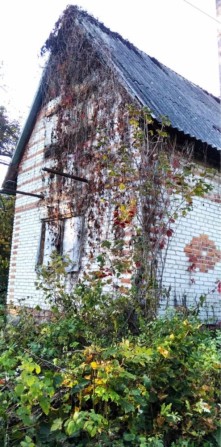 Продам дачну ділянку з будинком у Брюховичах - фото 1