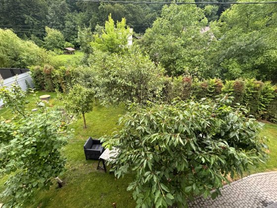 Продаж будинку біля лісу в с. Давидів (Соснівка - Бережани) Давидів