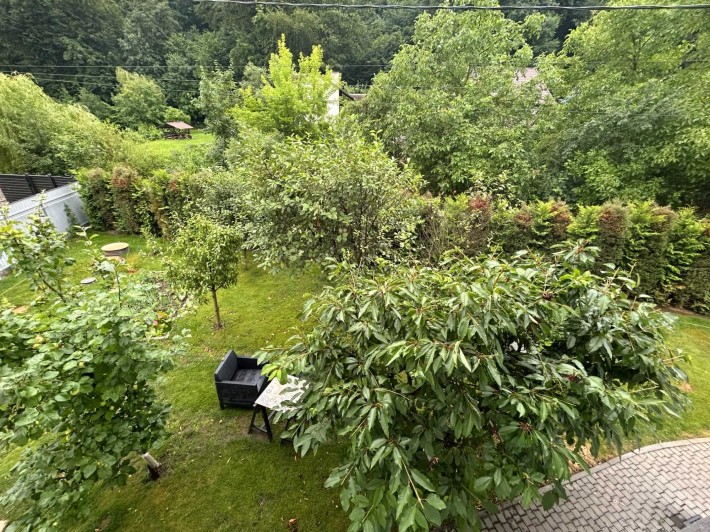 Продаж будинку біля лісу в с. Давидів (Соснівка - Бережани) - фото 1