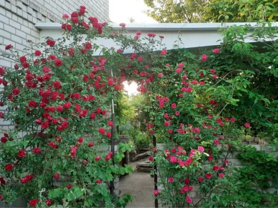 Продаю дачу СТ «Роднічок» приватизована Кирʼяківка Сливине