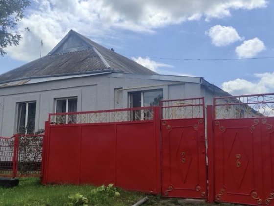 Доглянутий Жилий утеплений будинок з гаражем, літньою кухнею та садом Арбузинка