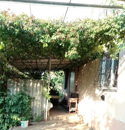 Продаю дачный домик в пригороде в хорошем месте - фото 1