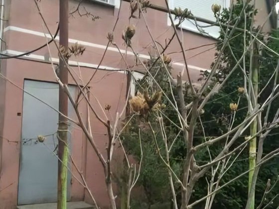 Продам міцний будинок Великодолинське