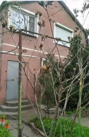 Продам міцний будинок - фото 1