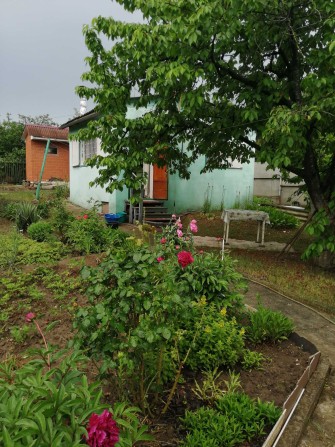 Дачний будиночок в с. Світле Старі дачі - фото 1