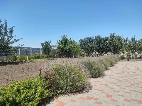 5 кімнатний дім на вулиці Петропавлівська / Медова. Фонтанка 1 Фонтанка