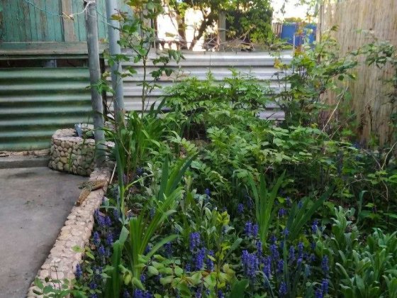 Продам 2 этажную дачу возле моря. Румб, Совиньон Бурлача Балка