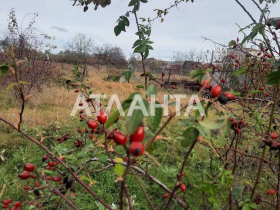 Одноэтажный дом на 15 сотках