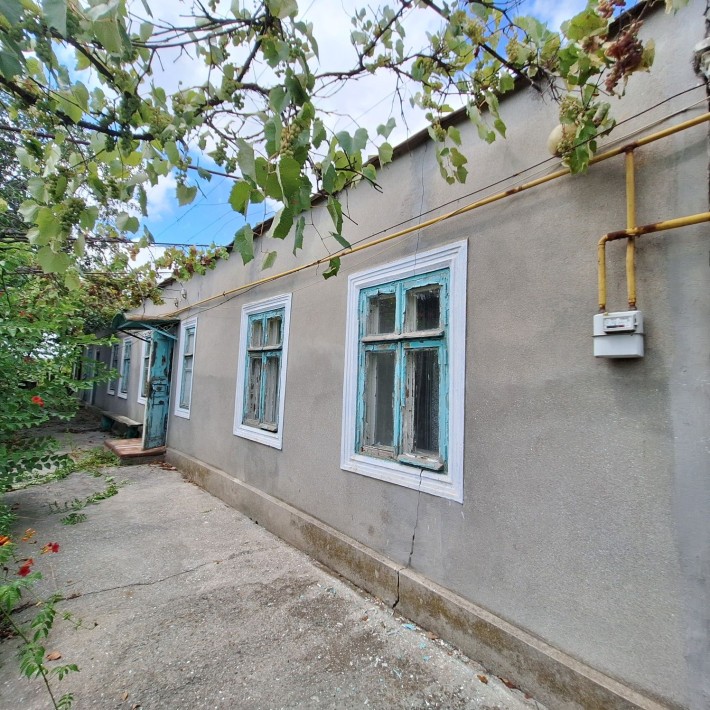 Будинок з великою ділянкою 50 соток у Бурлаччій Балці - фото 1