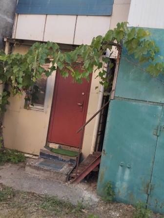 Продам дачу на Тилегульском лимане - фото 1