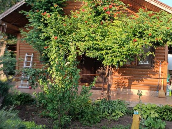 Элитный эко-дом из натурального дерева, 3 спальни,скважина Н.Дафиновка Новая Дофиновка