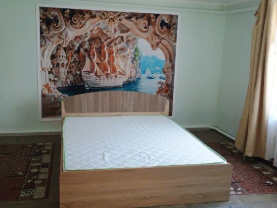 Продам дом в Новой Дофиновке Новая Дофиновка