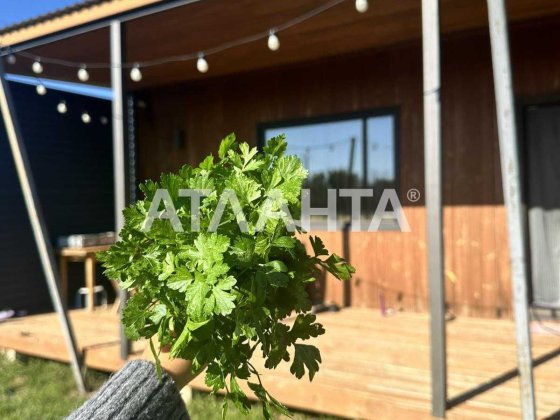 Затишний дачний будинок біля моря Молодіжне