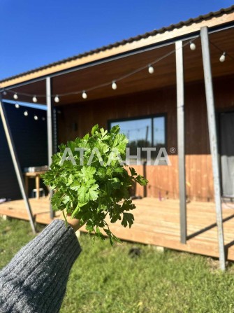 Затишний дачний будинок біля моря - фото 1