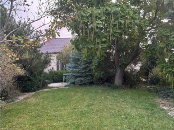 Будинок біля моря tir-01 Новая Дофиновка