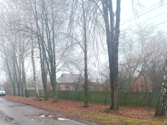 Будинок біля центру м. з ПРИВАТИЗОВАНИМИ земельними ділянками 25 соток Карлівка