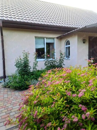 Затишний будинок із ремонтом у Нових Санжарах, Полтавська область - фото 1