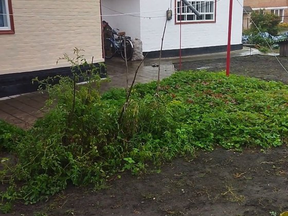 Продам будинок Полтавська область Лохвица