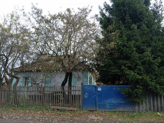 Будинок в Диканька ,опалення пічне+ газ,з енергонезалежним котлем Диканька