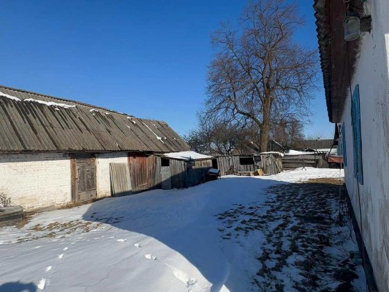 Продам будинок, і земельну ділянку 50 сотих біля будинку. Березне