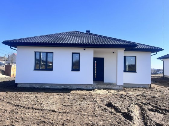 Продаж будинку американка  Житин Великий Житин