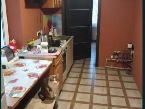 Продам дом в Карачевке   .Участок 6 сот. Тихий район. Отличная цена Покотилівка