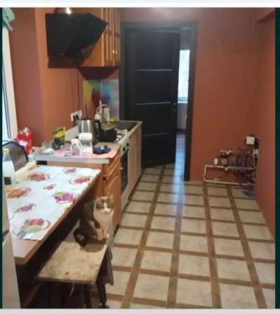 Продам дом в Карачевке   .Участок 6 сот. Тихий район. Отличная цена - фото 1