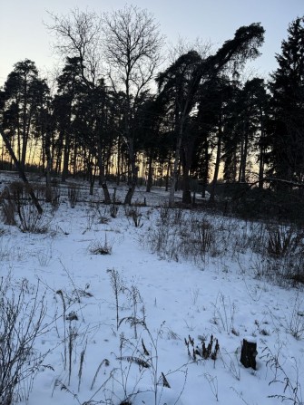 Земельна ділянка та будинок на межі з лісом 20 соток с.Геронимівка - фото 1