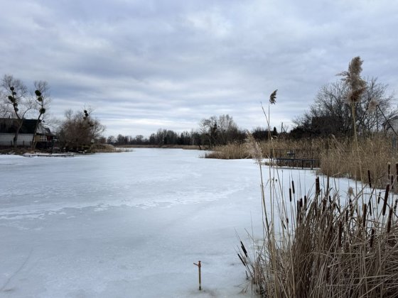 Продаж дачного будинку на березі р. Вільшанка Лозивок