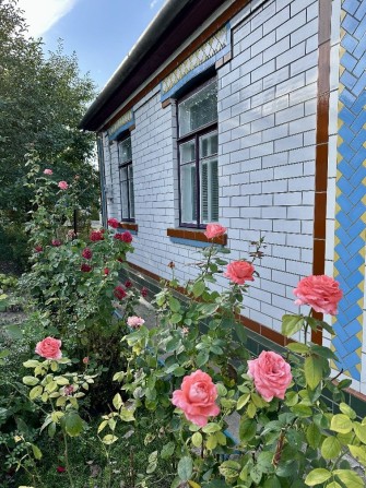 Продам будинок в центрі міста Жашків Черкаська область - фото 1