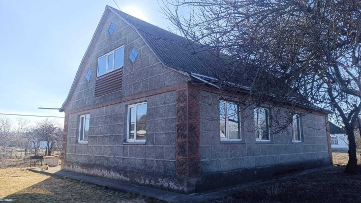 Великий будинок 2000х, біля Дніпра - фото 1