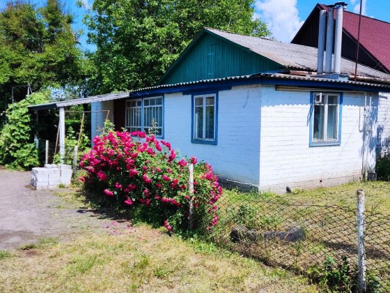 З-х кімнатний будинок (дача) в м.Носівка Носовка