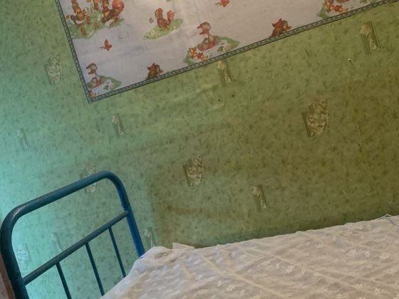 Продаю дачу під житло Старий Білоус