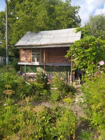 Дача в кооперативі ''железнодорожник 2" - фото 1