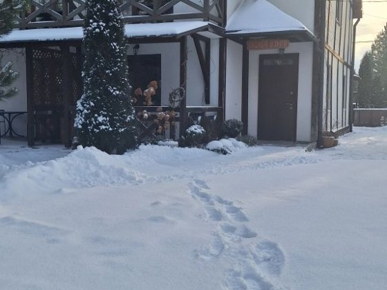 Зелений туризм. Котедж-дуплекс Мигово