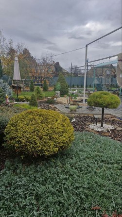 Продам будинок в місті Вільнянськ - фото 1