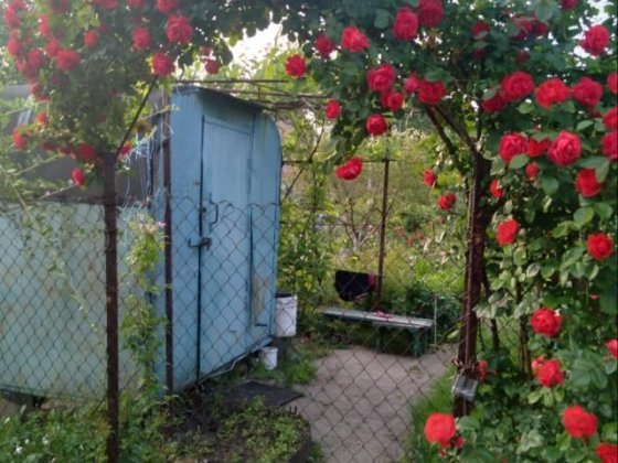 Продам дачу под Подпорожнянкой Богатирівка