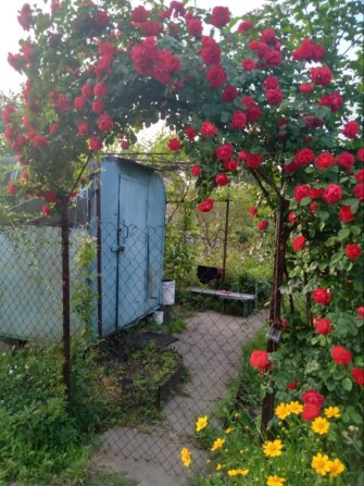 Продам дачу под Подпорожнянкой - фото 1