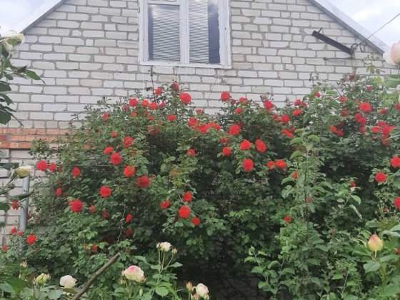 Продам дачу с.Лесничество, рядом с.Каневское.