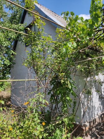 Дача в районі Льовшинського заливу - фото 1