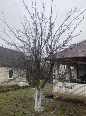 Дача с.Вільнокурянове Вільнянський район - фото 1