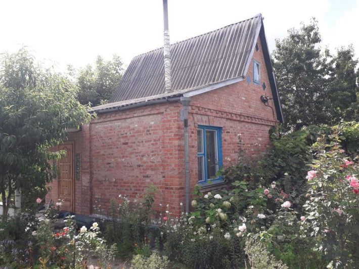 Дачка невеличка але вся в трояндах .  Массив біля лісу та річки  Рось - фото 1