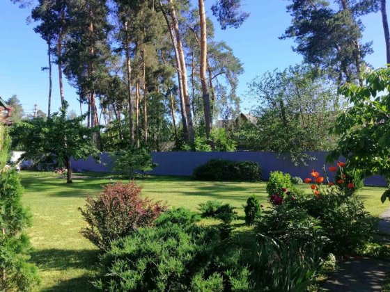 Будинок в Ірпені на 13 сотка серед вікових дерев Ірпінь