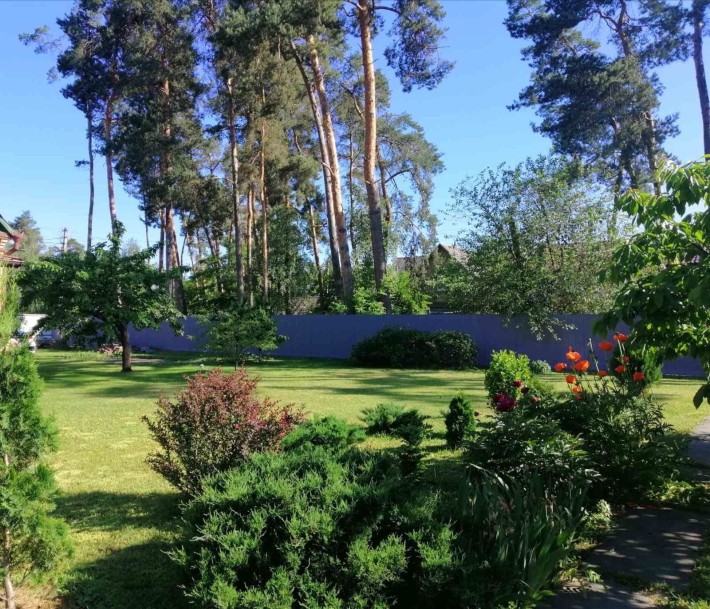 Будинок в Ірпені на 13 сотка серед вікових дерев - фото 1