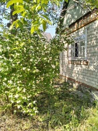 Продам дачу "Будівельник" Власівка - фото 1