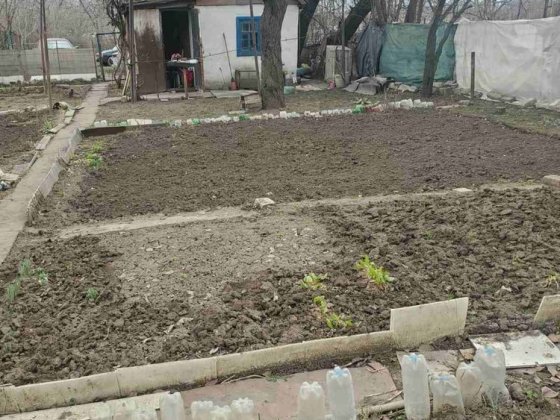 Продам дачный участок  на югоке садоводчества Мичуринец Кривой Рог