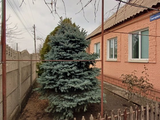 Будинок з власним  виходом до річки по вулиці Григорівська Кривой Рог